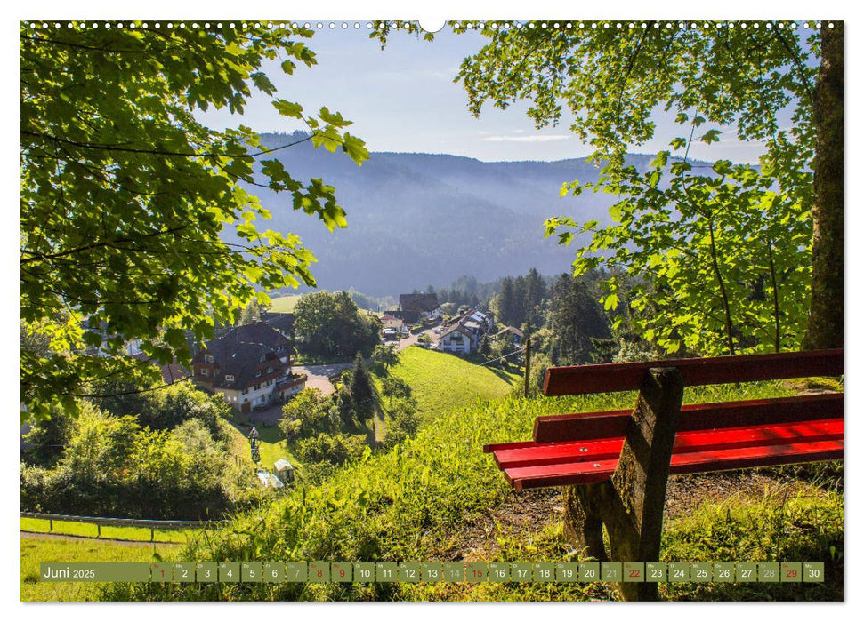 Die Jahreszeiten im Nordschwarzwald (CALVENDO Premium Wandkalender 2025)