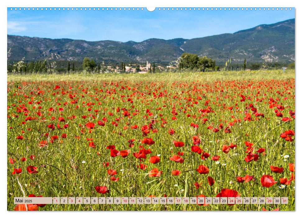 Magisches Land des Ventoux (CALVENDO Premium Wandkalender 2025)