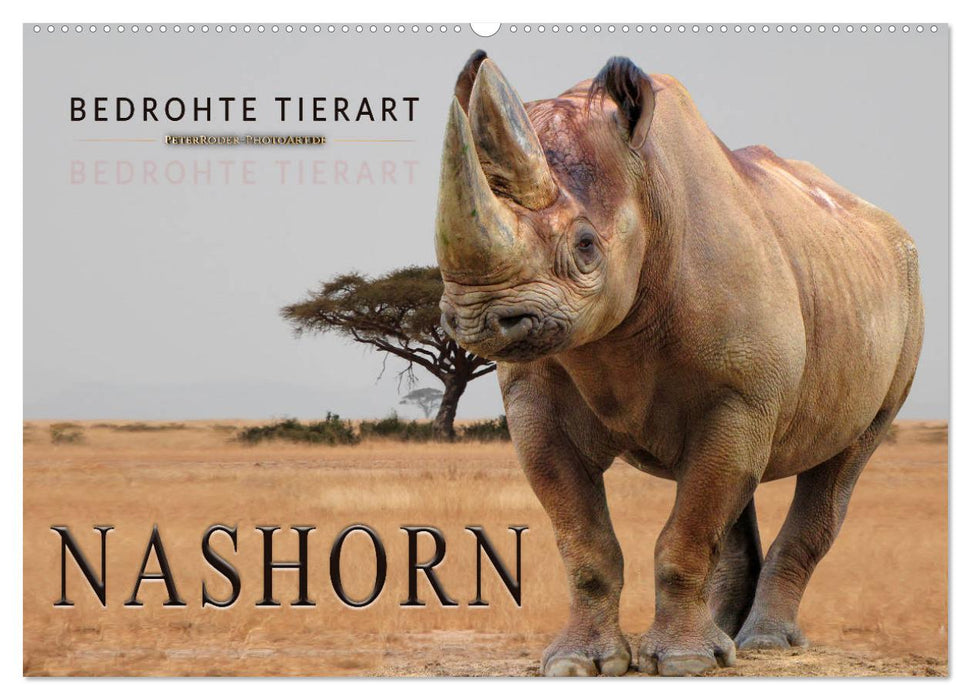 Bedrohte Tierart - Nashorn (CALVENDO Wandkalender 2025)