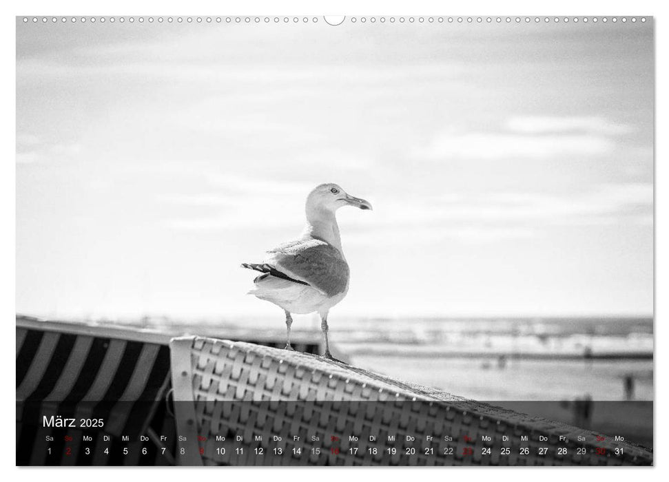 Wangerooge Noir (CALVENDO Wandkalender 2025)