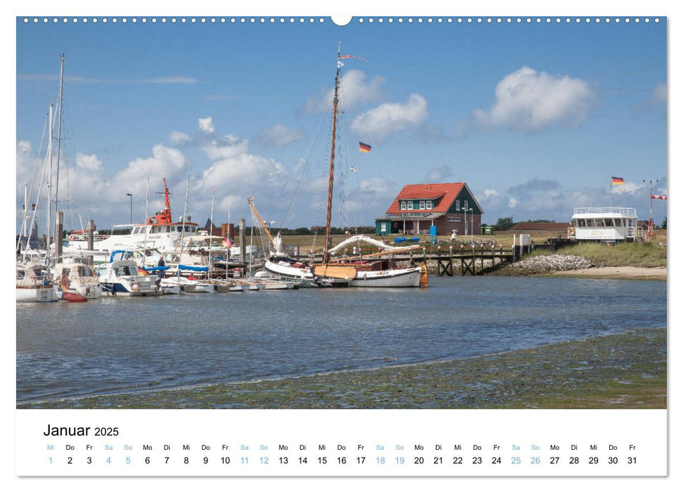 Lieblingsinsel Spiekeroog (CALVENDO Premium Wandkalender 2025)