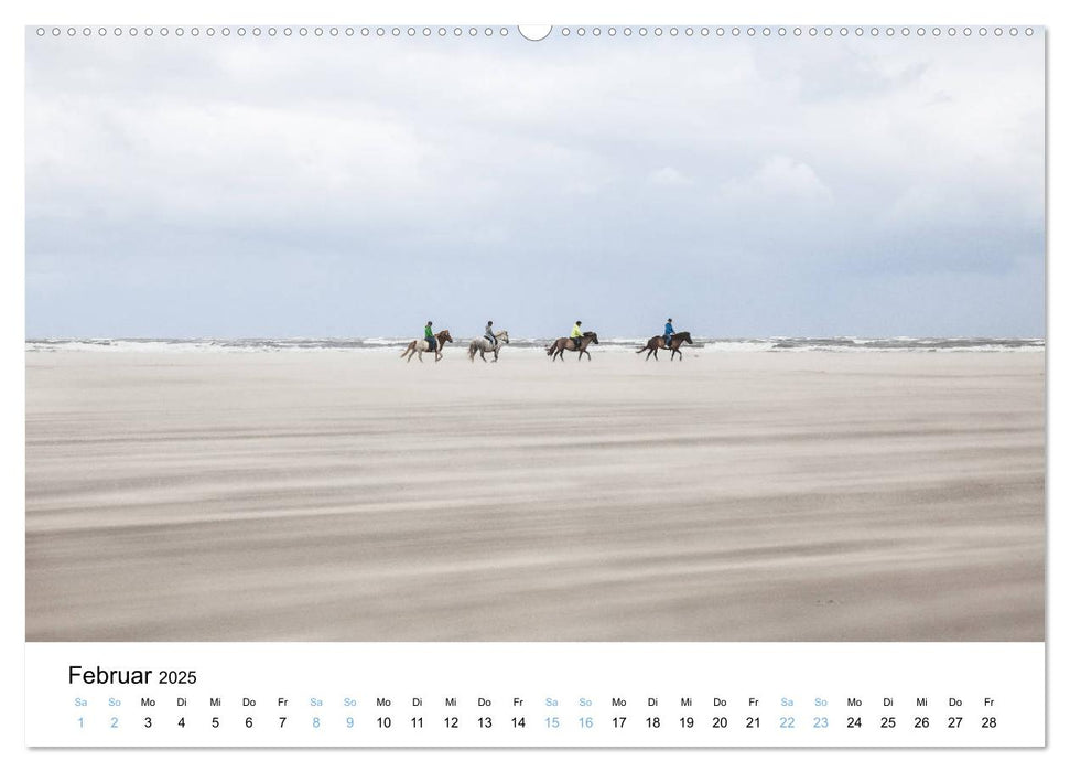 Lieblingsinsel Spiekeroog (CALVENDO Premium Wandkalender 2025)