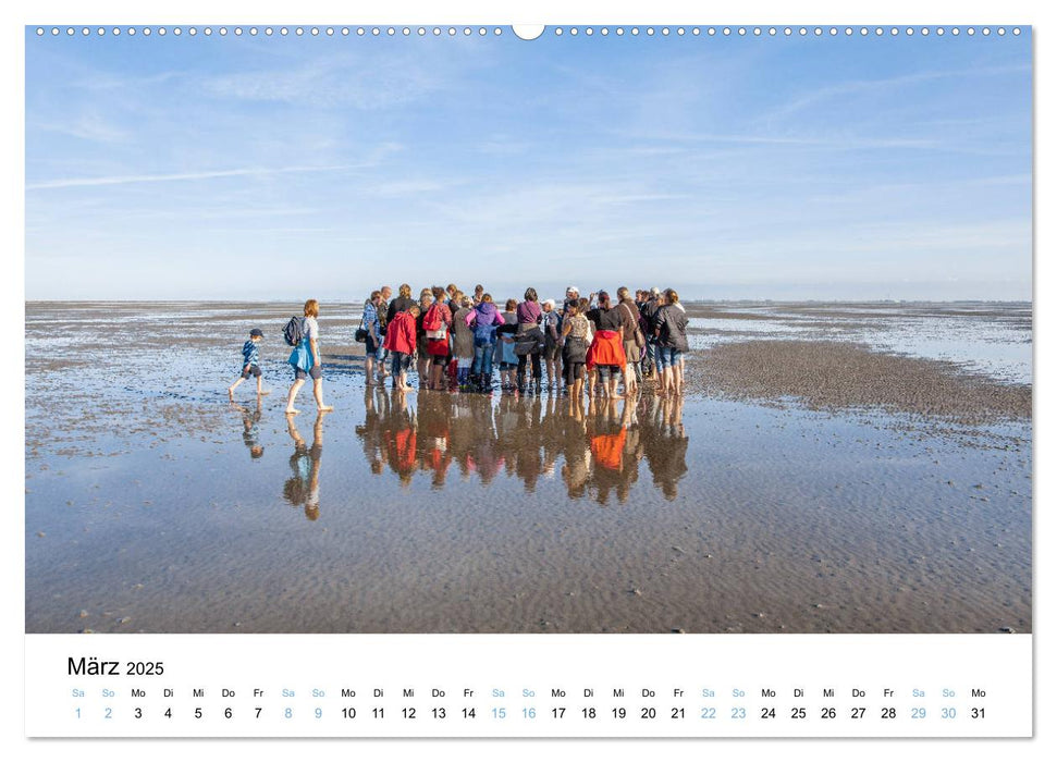 Lieblingsinsel Spiekeroog (CALVENDO Premium Wandkalender 2025)