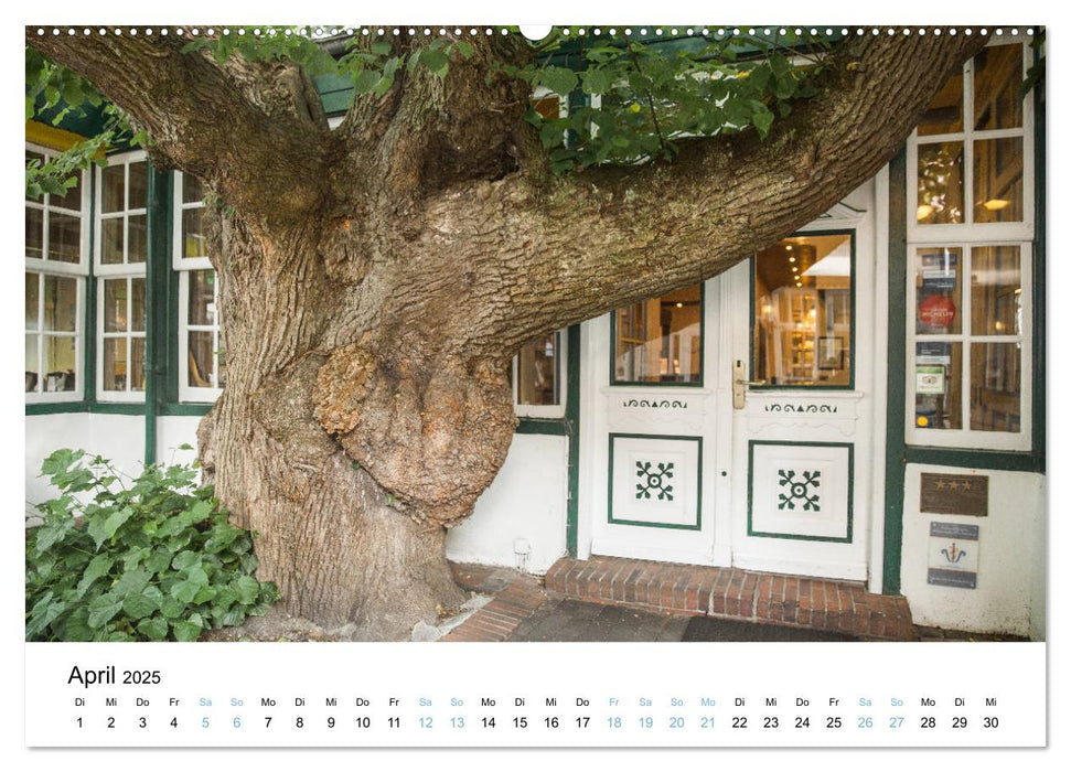 Lieblingsinsel Spiekeroog (CALVENDO Premium Wandkalender 2025)