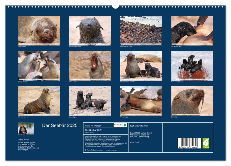 Der Seebär 2025 (CALVENDO Premium Wandkalender 2025)