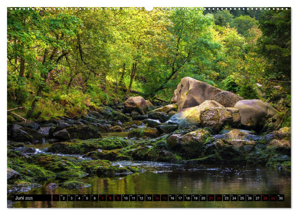 Flüsse und Seen im Harz (CALVENDO Premium Wandkalender 2025)