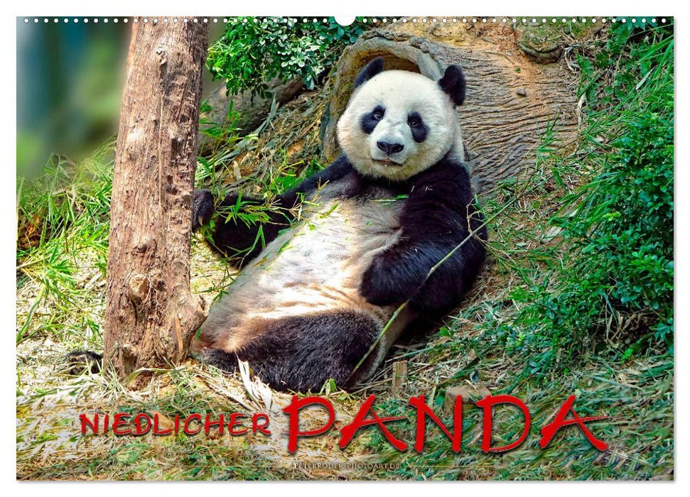 Niedlicher Panda (CALVENDO Wandkalender 2025)