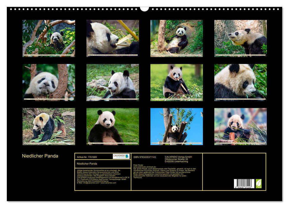 Niedlicher Panda (CALVENDO Wandkalender 2025)