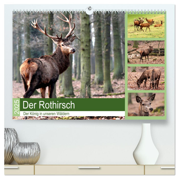 Der Rothirsch - Der König in unseren Wäldern (CALVENDO Premium Wandkalender 2025)