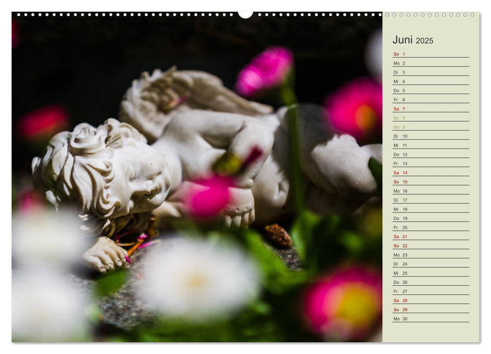 Engel - Begleiter für jeden Tag (CALVENDO Wandkalender 2025)