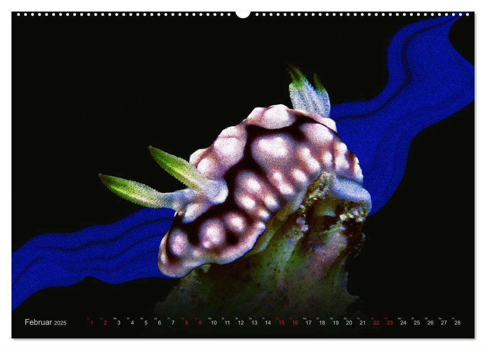 Artwork Unterwasser - Erlebnis Tauchen (CALVENDO Premium Wandkalender 2025)