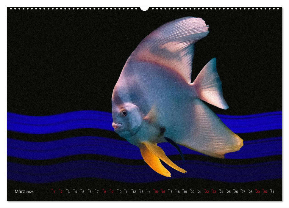 Artwork Unterwasser - Erlebnis Tauchen (CALVENDO Premium Wandkalender 2025)