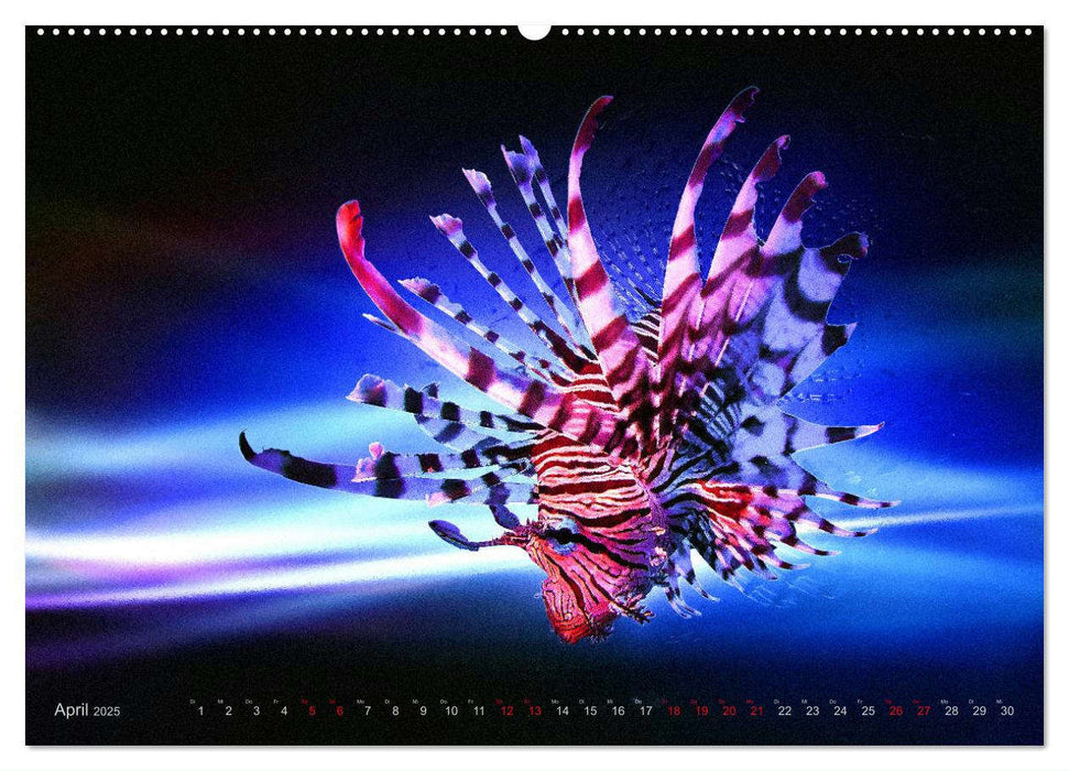 Artwork Unterwasser - Erlebnis Tauchen (CALVENDO Premium Wandkalender 2025)