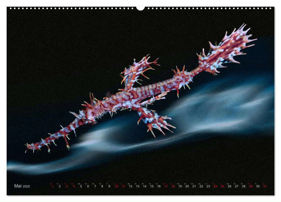 Artwork Unterwasser - Erlebnis Tauchen (CALVENDO Premium Wandkalender 2025)