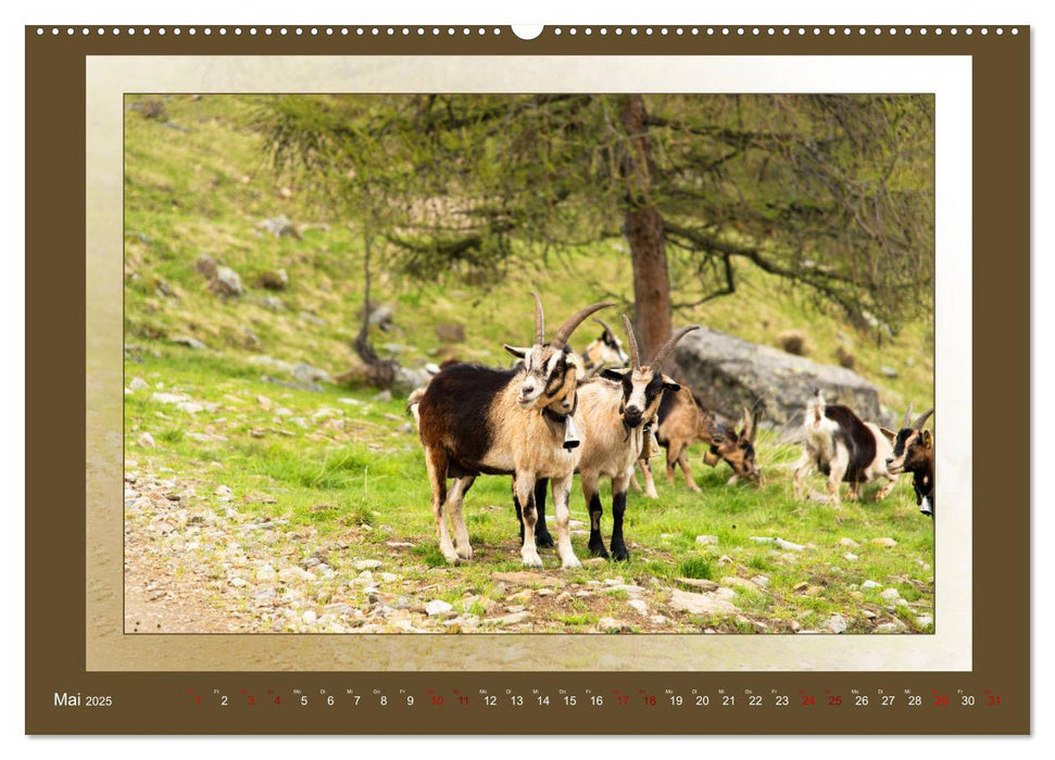 Das vergessene Tal. Schnalstal - Val Senales (CALVENDO Premium Wandkalender 2025)