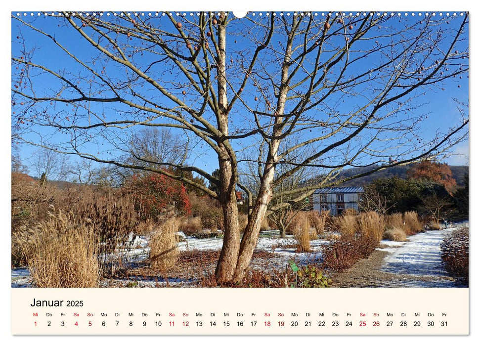 Der Hermannshof Sichtungsgarten in Weinheim an der Bergstraße (CALVENDO Premium Wandkalender 2025)