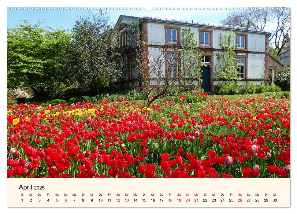 Der Hermannshof Sichtungsgarten in Weinheim an der Bergstraße (CALVENDO Premium Wandkalender 2025)