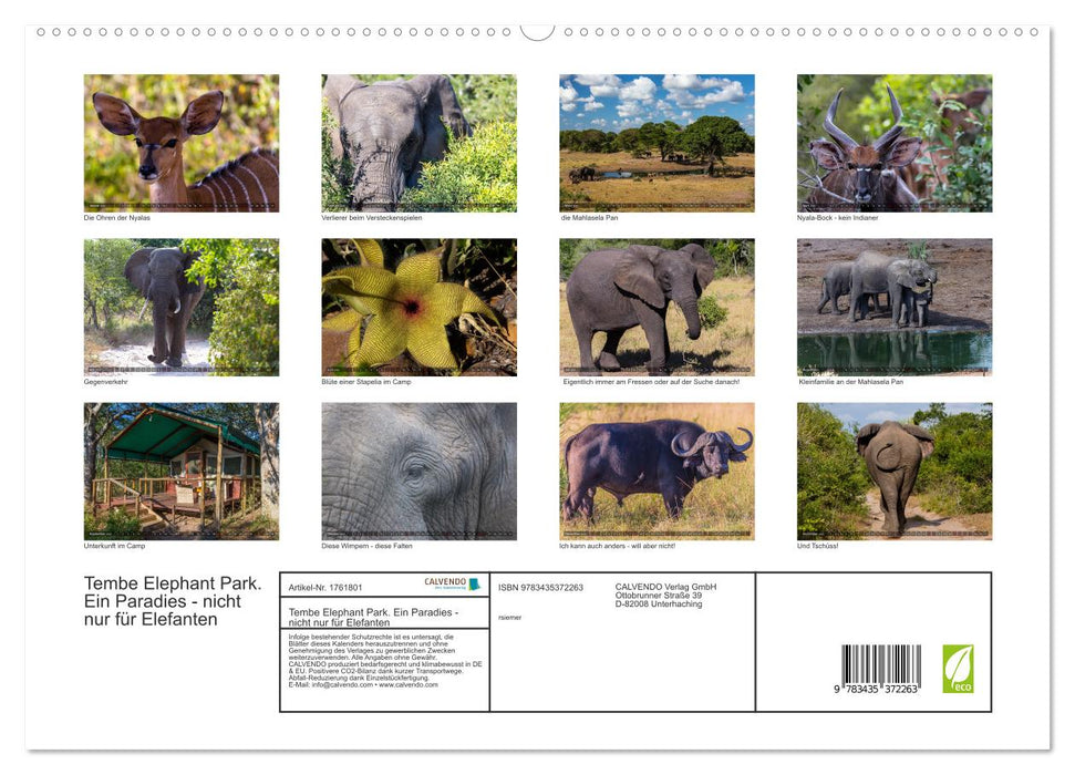 Tembe Elephant Park. Ein Paradies - nicht nur für Elefanten (CALVENDO Premium Wandkalender 2025)