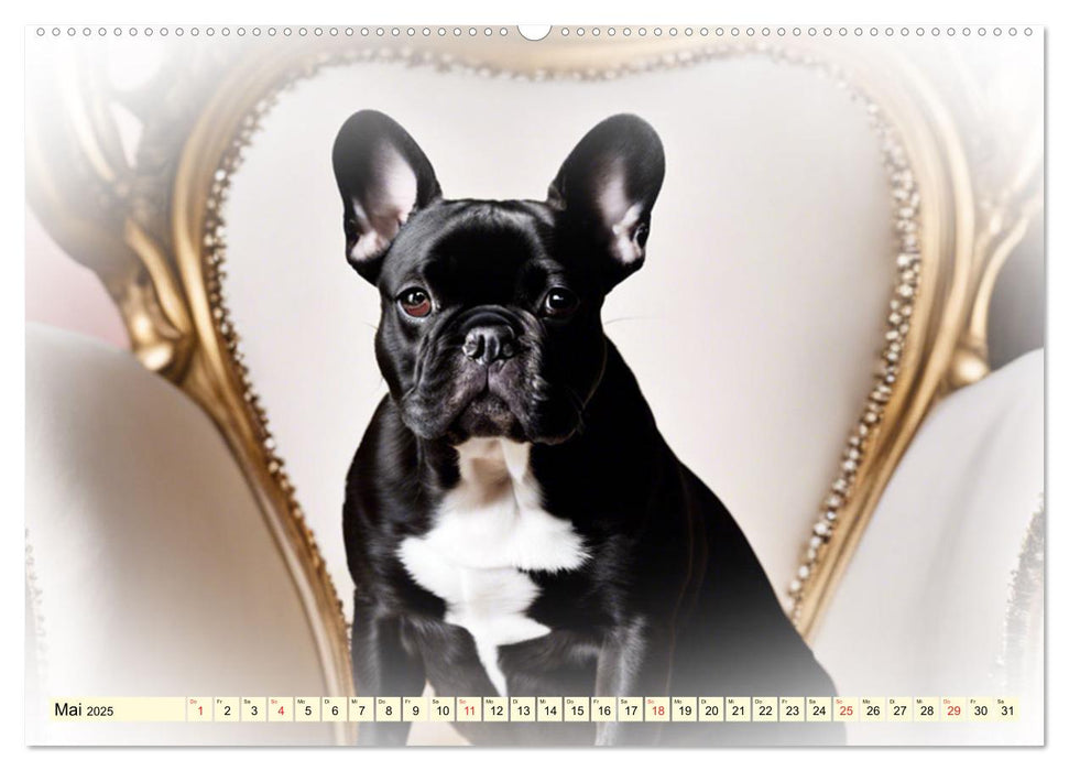 Rasseportraits - Hunde (CALVENDO Premium Wandkalender 2025)