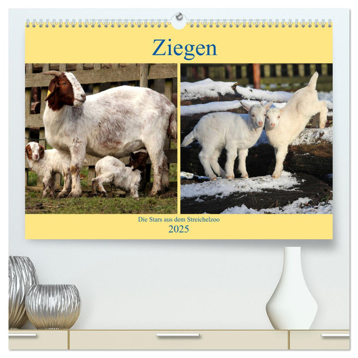 Ziegen - Die Stars aus dem Streichelzoo (CALVENDO Premium Wandkalender 2025)
