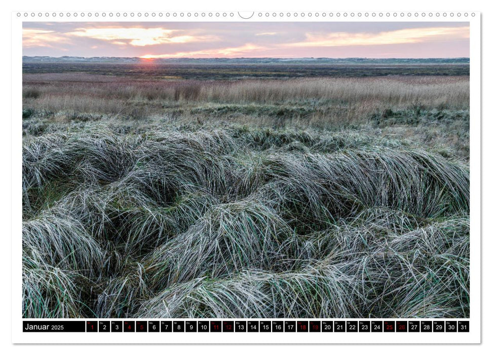 St. Peter-Ording - Natur pur (CALVENDO Premium Wandkalender 2025)