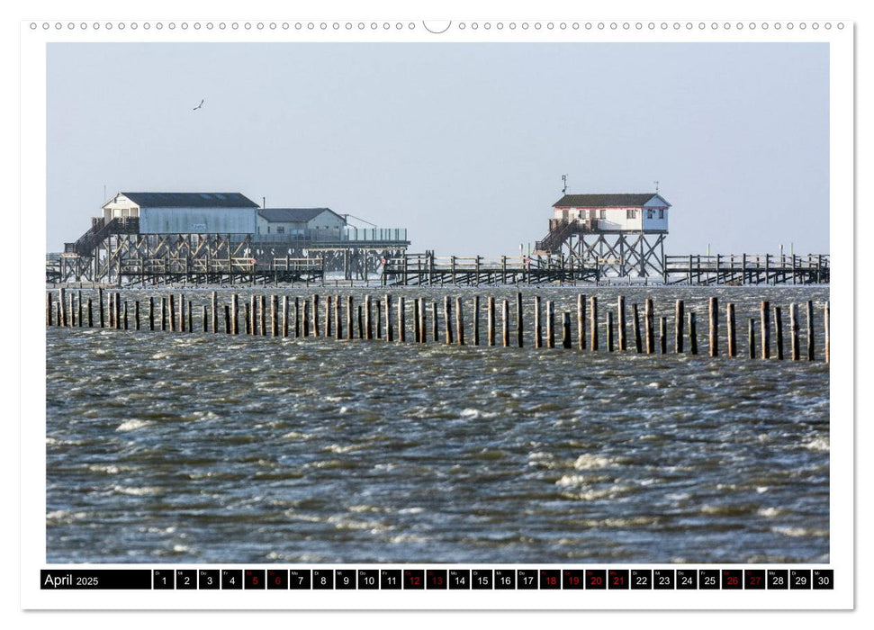 St. Peter-Ording - Natur pur (CALVENDO Premium Wandkalender 2025)