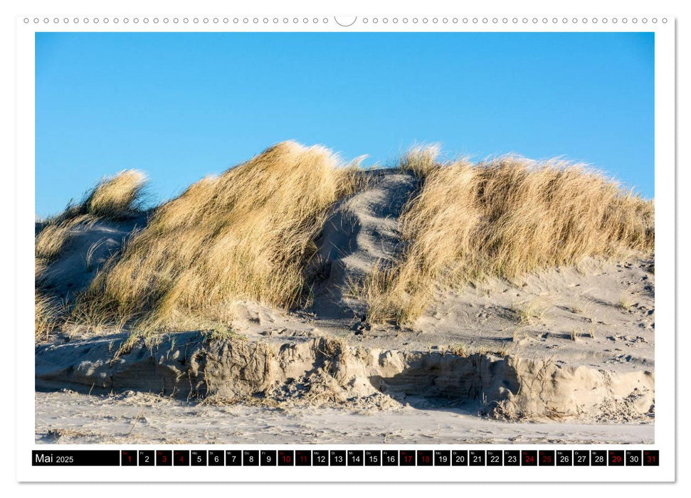 St. Peter-Ording - Natur pur (CALVENDO Premium Wandkalender 2025)