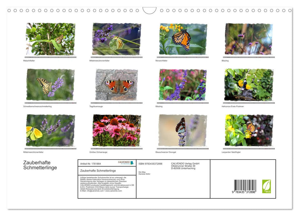Zauberhafte Schmetterlinge (CALVENDO Wandkalender 2025)