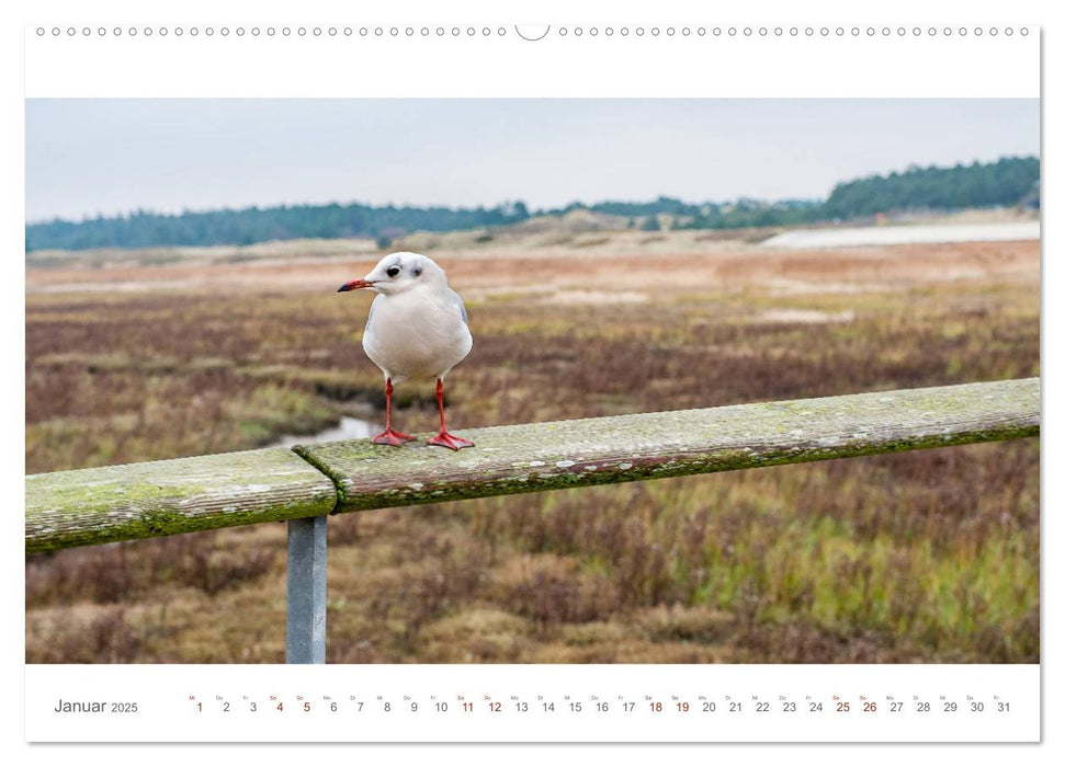 MIEN FREESENLAND - Wasser, Wind, Wellen (CALVENDO Premium Wandkalender 2025)