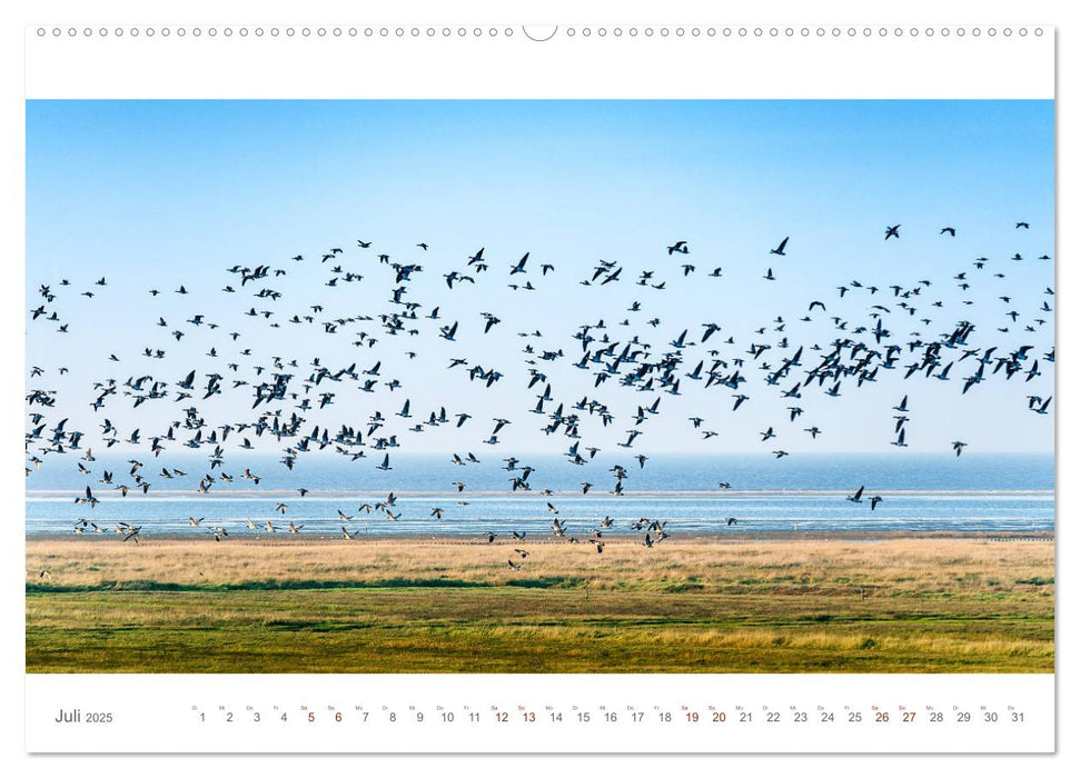 MIEN FREESENLAND - Wasser, Wind, Wellen (CALVENDO Premium Wandkalender 2025)