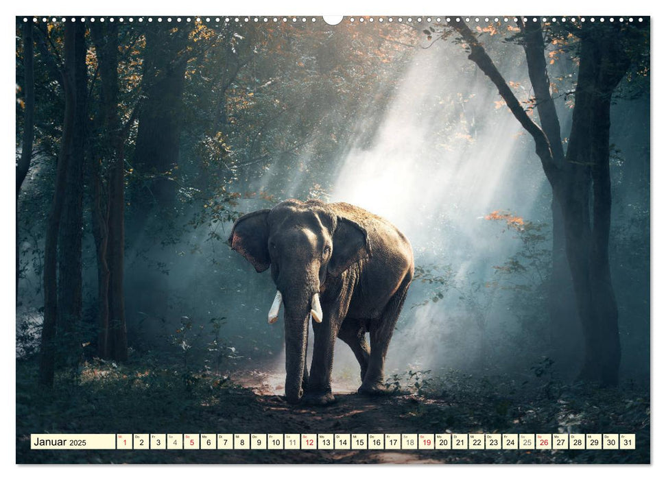 Magisches Asien. Menschen und Natur (CALVENDO Premium Wandkalender 2025)