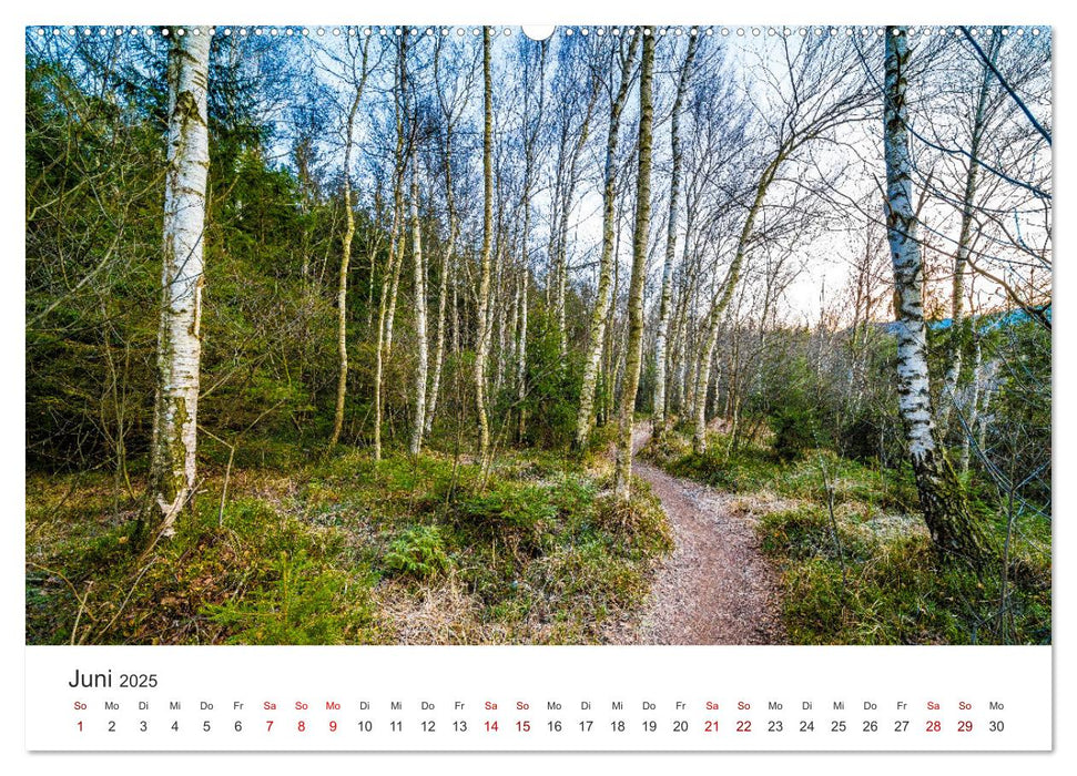 Alpenland Österreich (CALVENDO Premium Wandkalender 2025)