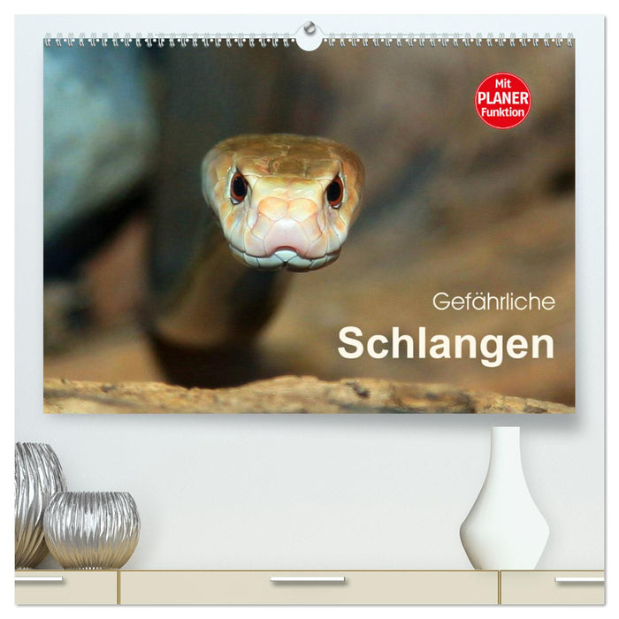 Gefährliche Schlangen (CALVENDO Premium Wandkalender 2025)