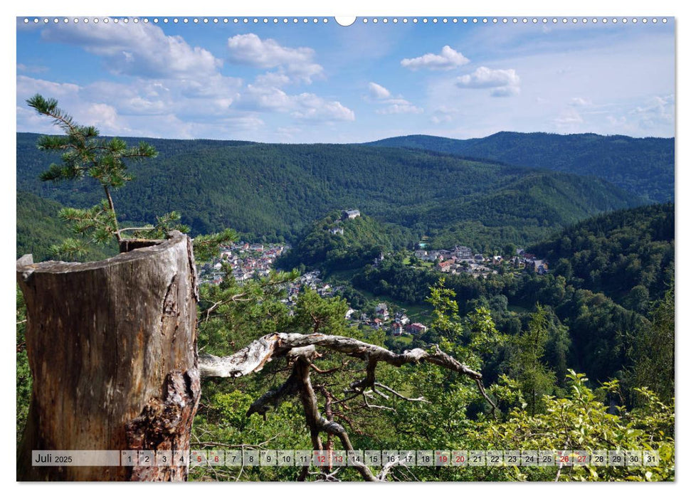 Wunderbares Thüringen - Landschaften (CALVENDO Premium Wandkalender 2025)