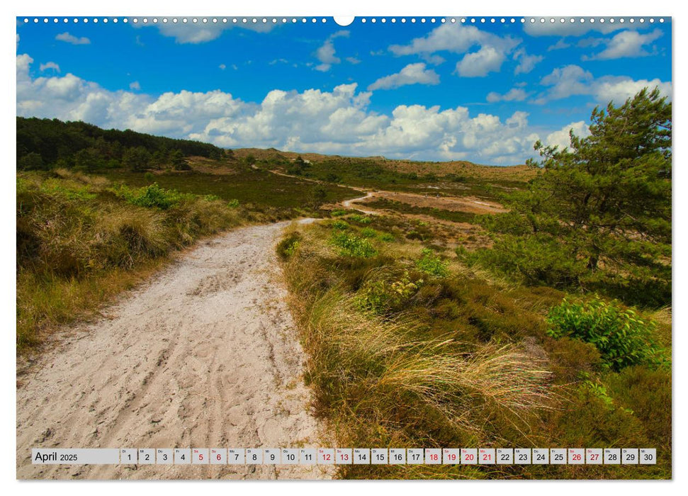 Streifzüge durch den Norden der Niederlande (CALVENDO Premium Wandkalender 2025)