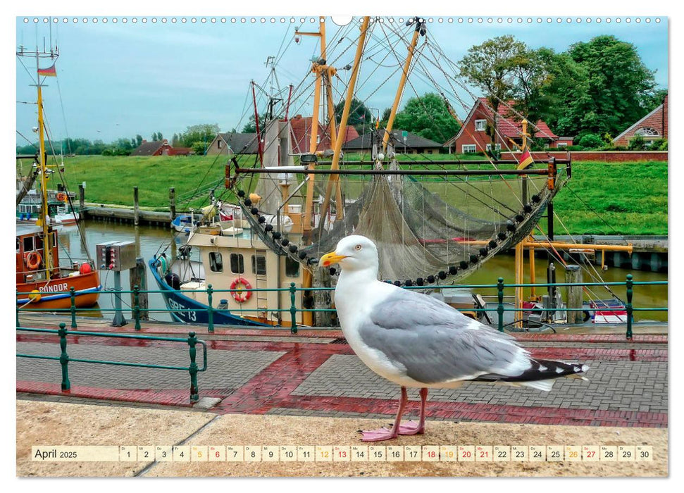 Maritime Augenblicke - Fischkutter (CALVENDO Premium Wandkalender 2025)