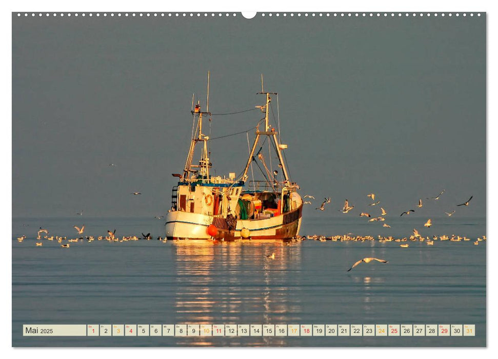 Maritime Augenblicke - Fischkutter (CALVENDO Premium Wandkalender 2025)