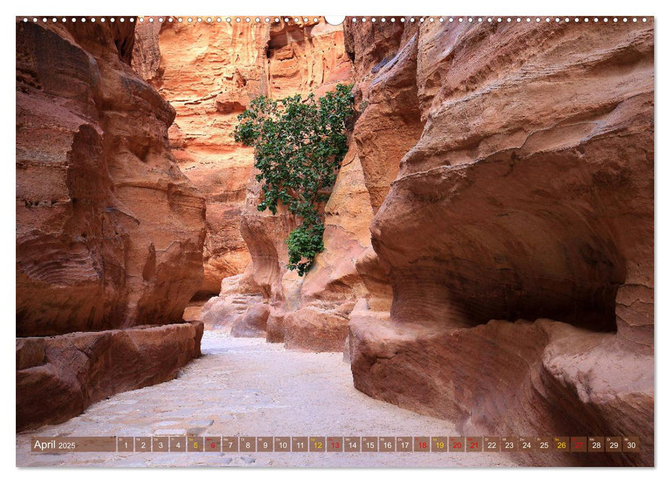 Jordanien - Ein Land der Superlative (CALVENDO Premium Wandkalender 2025)