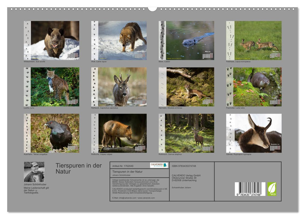 Tierspuren in der Natur (CALVENDO Premium Wandkalender 2025)