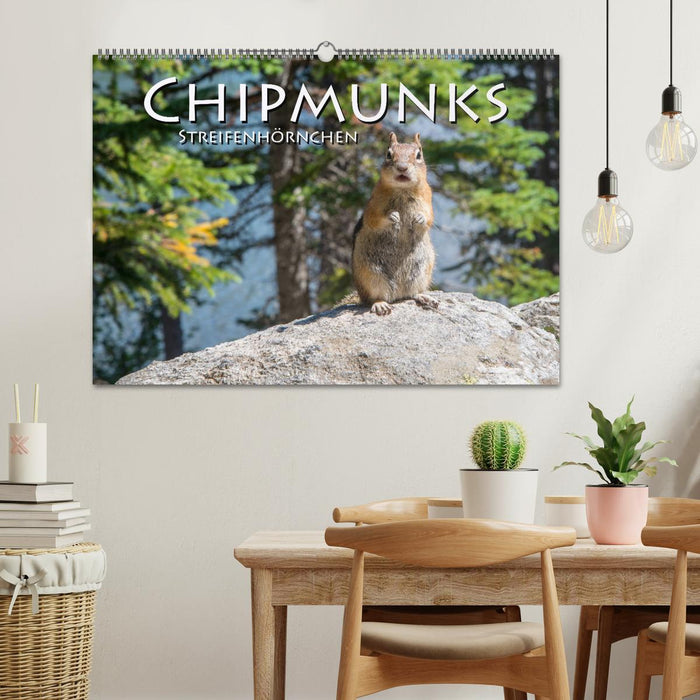 Chipmunks Streifenhörnchen (CALVENDO Wandkalender 2025)