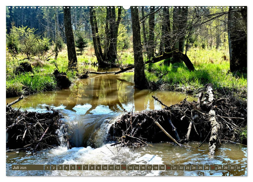 Wiesen Wälder Weiher. Der Naturpark Augsburg-Westliche Wälder (CALVENDO Premium Wandkalender 2025)