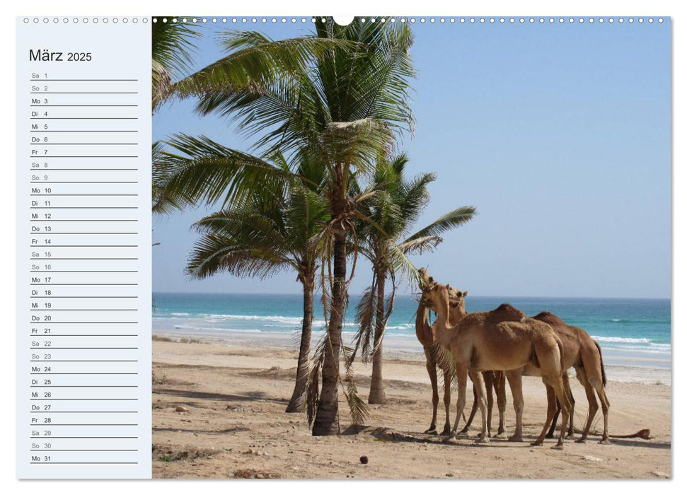 Eine Reise durch den Oman (CALVENDO Premium Wandkalender 2025)