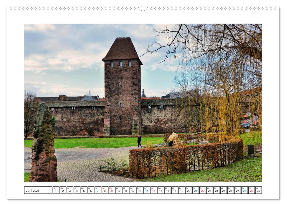 Worms - Ansichtssache (CALVENDO Premium Wandkalender 2025)