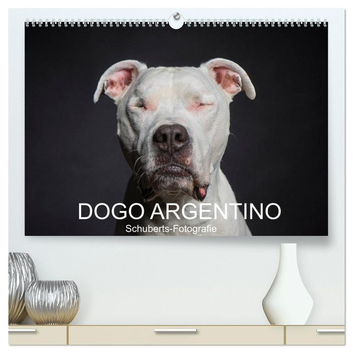 DOGO ARGENTINO (CALVENDO Premium Wandkalender 2025)