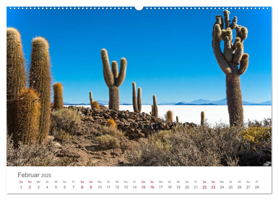 Bolivien - Natur und Kultur im Altiplano (CALVENDO Premium Wandkalender 2025)