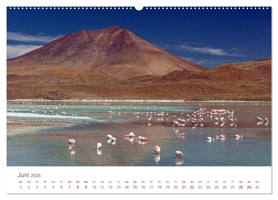 Bolivien - Natur und Kultur im Altiplano (CALVENDO Premium Wandkalender 2025)