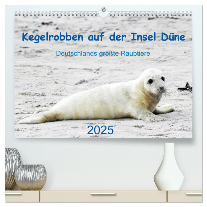 Kegelrobben auf der Insel Düne (CALVENDO Premium Wandkalender 2025)