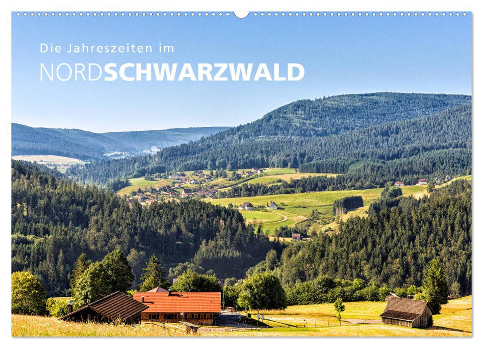 Die Jahreszeiten im Nordschwarzwald (CALVENDO Wandkalender 2025)