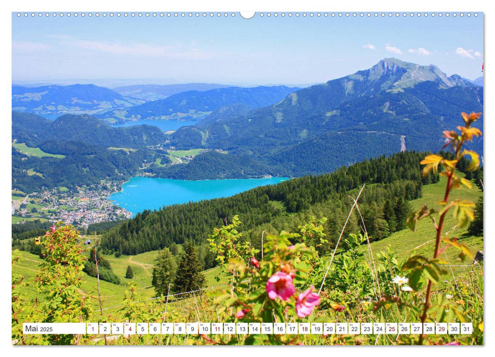 Der schöne Wolfgangsee im Salzkammergut (CALVENDO Premium Wandkalender 2025)