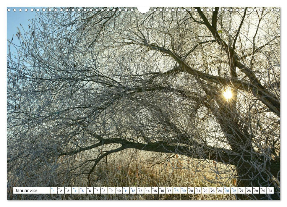 Land Brandenburg - Natur und Erholung im märkischen Land (CALVENDO Wandkalender 2025)